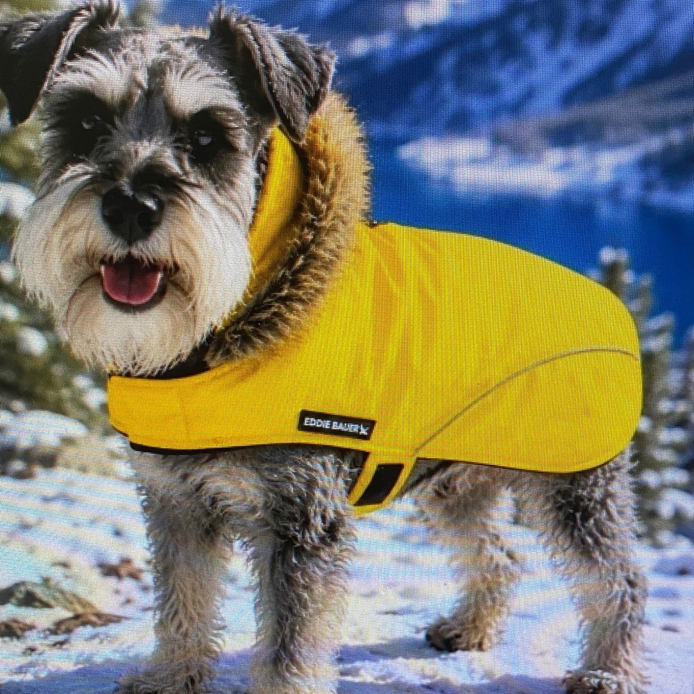 Eddie Bauer Bright Yellow Dog Parka with Faux Fur Hood